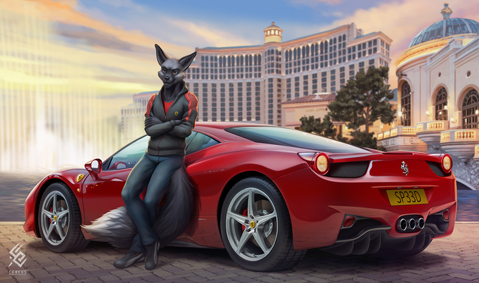Evening , , , Furry Fox, Cereus93