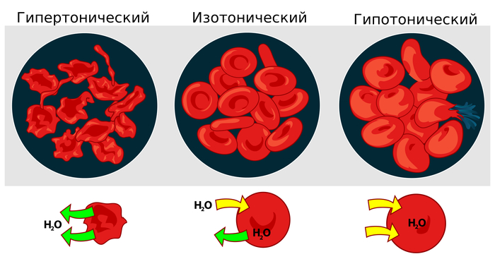 с рисовой муки можно блины делать