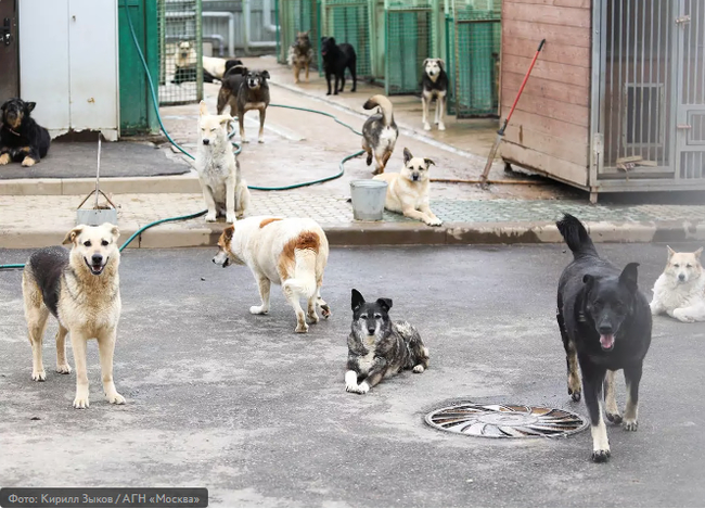 � ������ ������������ ��������� ������ �������� ���� ��������� ��������