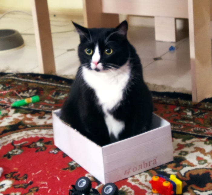 ���� � �������