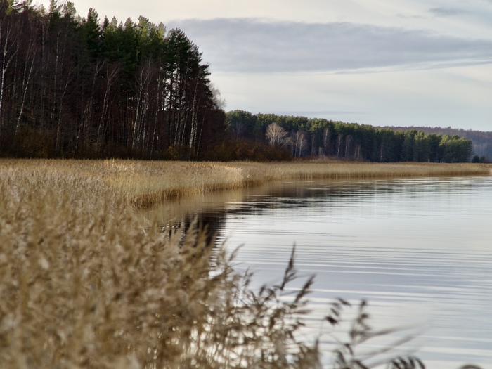 Суходольское озеро | Пикабу
