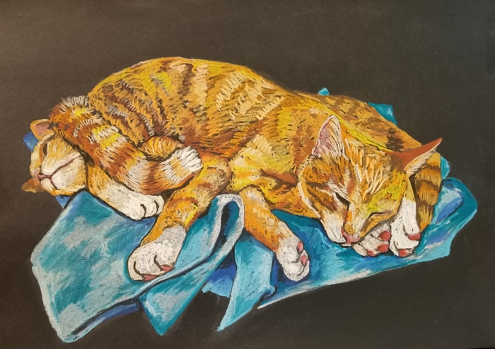 ΡΠΈΡΡΠ½ΠΊΠΈ ΠΊΠΎΡΠΈΠΊΠΎΠ² Ρ Π΅Π΄ΠΎΠΉ. Π‘ΠΌΠΎΡΡΠ΅ΡΡ ΡΠΎΡΠΎ ΡΠΈΡΡΠ½ΠΊΠΈ ΠΊΠΎΡΠΈΠΊΠΎΠ² Ρ Π΅Π΄ΠΎΠΉ. Π‘ΠΌΠΎΡΡΠ΅ΡΡ ΠΊΠ°ΡΡΠΈΠ½ΠΊΡ ΡΠΈΡΡΠ½ΠΊΠΈ ΠΊΠΎΡΠΈΠΊΠΎΠ² Ρ Π΅Π΄ΠΎΠΉ. ΠΠ°ΡΡΠΈΠ½ΠΊΠ° ΠΏΡΠΎ ΡΠΈΡΡΠ½ΠΊΠΈ ΠΊΠΎΡΠΈΠΊΠΎΠ² Ρ Π΅Π΄ΠΎΠΉ. Π€ΠΎΡΠΎ ΡΠΈΡΡΠ½ΠΊΠΈ ΠΊΠΎΡΠΈΠΊΠΎΠ² Ρ Π΅Π΄ΠΎΠΉ ΡΠΈΡΡΠ½ΠΊΠΈ ΠΊΠΎΡΠΈΠΊΠΎΠ² Ρ Π΅Π΄ΠΎΠΉ. Π‘ΠΌΠΎΡΡΠ΅ΡΡ ΡΠΎΡΠΎ ΡΠΈΡΡΠ½ΠΊΠΈ ΠΊΠΎΡΠΈΠΊΠΎΠ² Ρ Π΅Π΄ΠΎΠΉ. Π‘ΠΌΠΎΡΡΠ΅ΡΡ ΠΊΠ°ΡΡΠΈΠ½ΠΊΡ ΡΠΈΡΡΠ½ΠΊΠΈ ΠΊΠΎΡΠΈΠΊΠΎΠ² Ρ Π΅Π΄ΠΎΠΉ. ΠΠ°ΡΡΠΈΠ½ΠΊΠ° ΠΏΡΠΎ ΡΠΈΡΡΠ½ΠΊΠΈ ΠΊΠΎΡΠΈΠΊΠΎΠ² Ρ Π΅Π΄ΠΎΠΉ. Π€ΠΎΡΠΎ ΡΠΈΡΡΠ½ΠΊΠΈ ΠΊΠΎΡΠΈΠΊΠΎΠ² Ρ Π΅Π΄ΠΎΠΉ