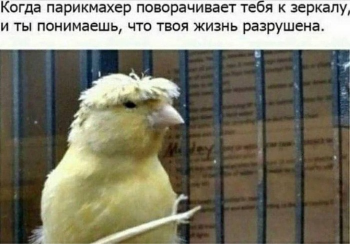 ��������� ������ ����������� � ����