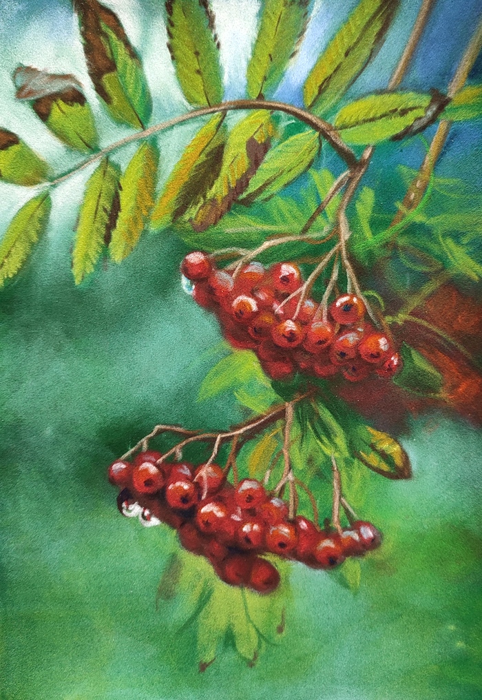 ������� ������