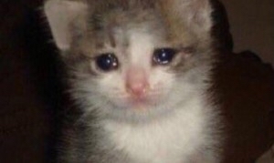 ������� ��������!!!