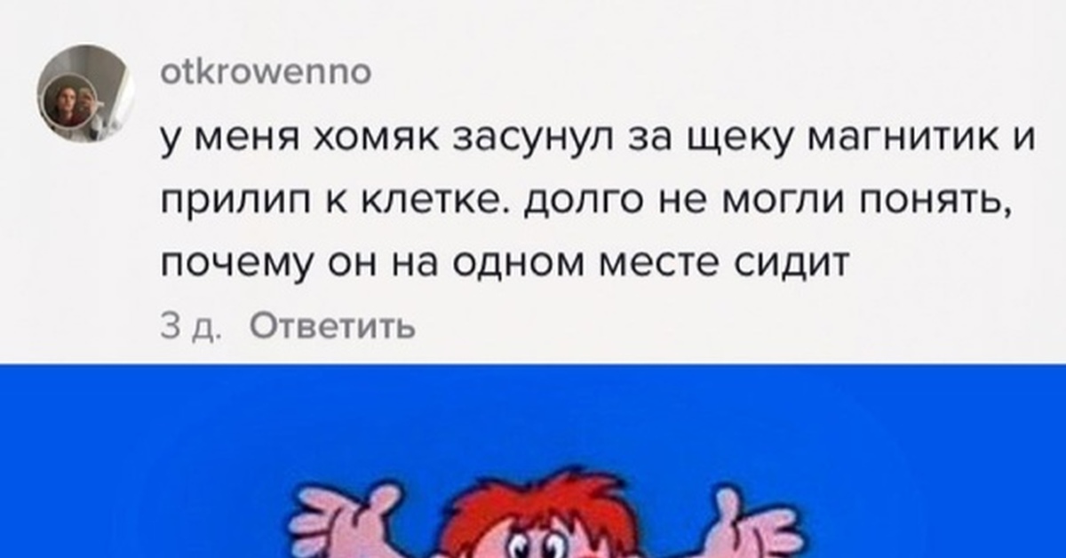 Хомяк | Пикабу
