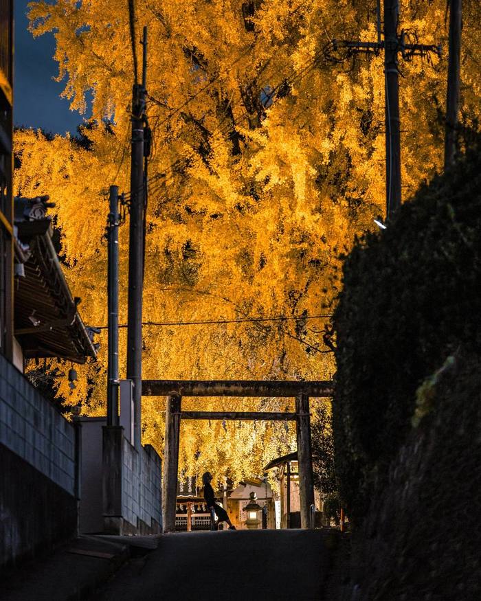 Природный фейерверк