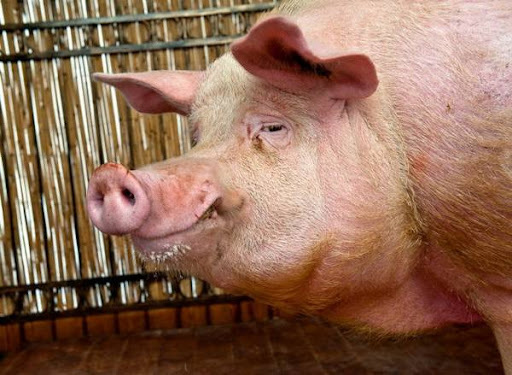 � �� ������� ��� ������ ��?