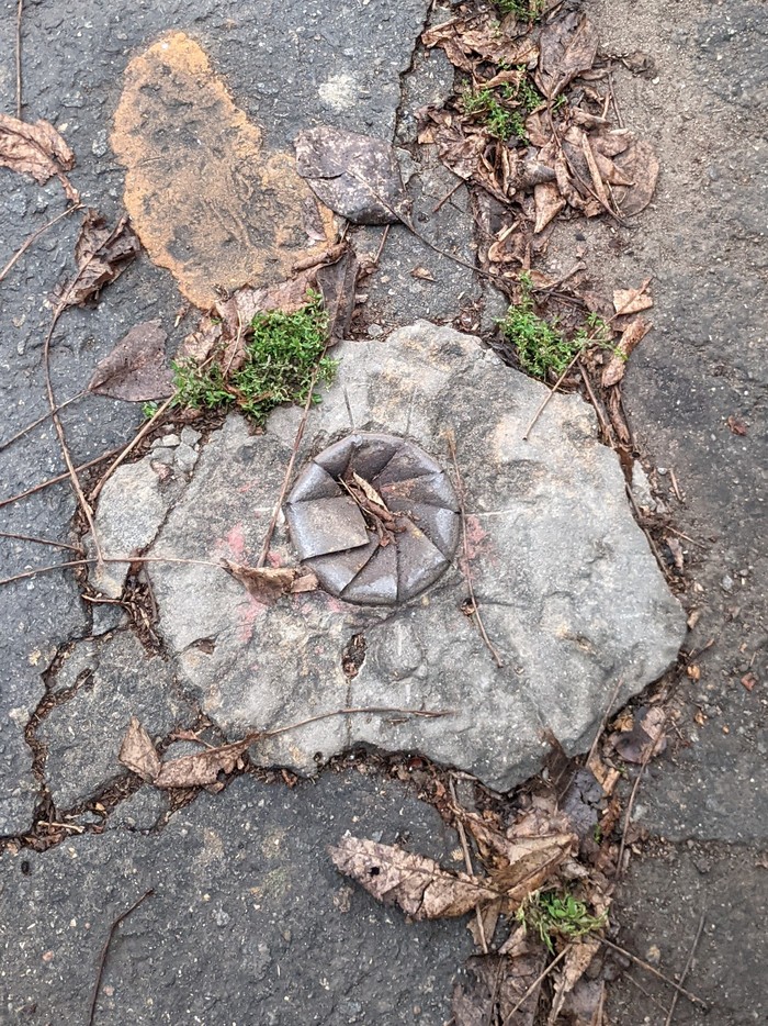 ������ ���������