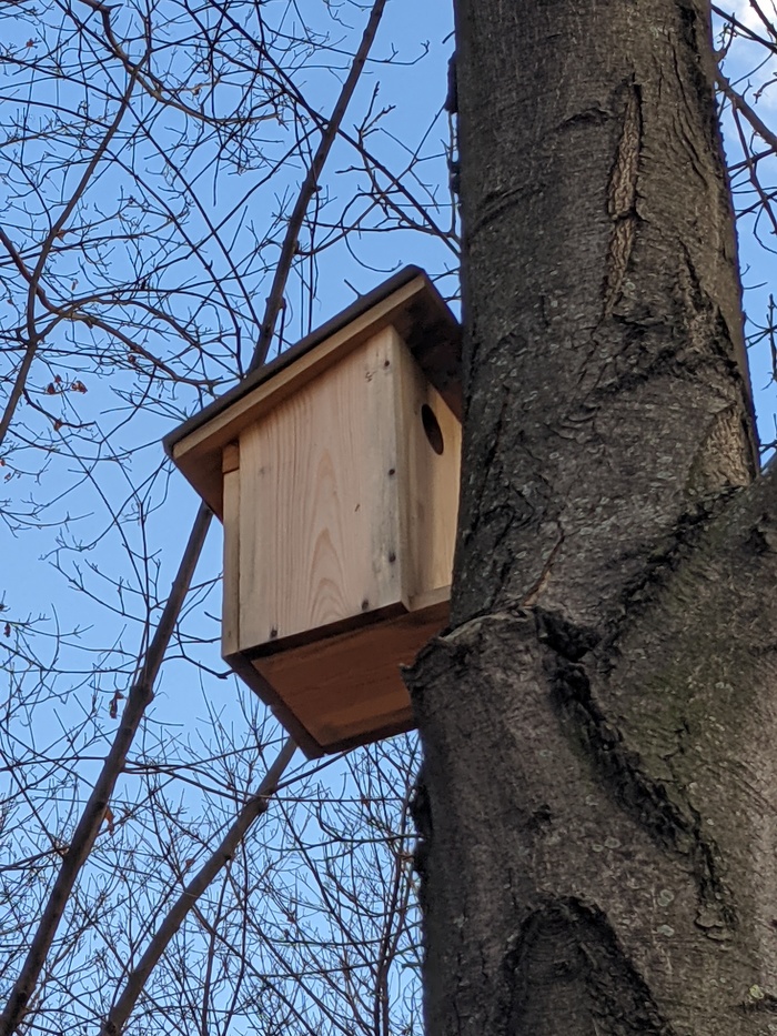 Скворечник для птиц-интровертов