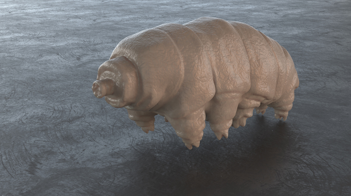 Тихоходка в Keyshot, zbrush