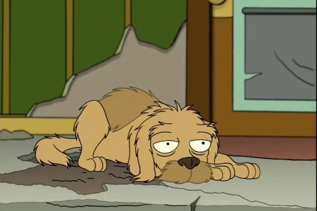 что случилось с мухтаром в ялте. 1637483185114913625. что случилось с мухтаром в ялте фото. что случилось с мухтаром в ялте-1637483185114913625. картинка что случилось с мухтаром в ялте. картинка 1637483185114913625. что случилось с мухтаром в ялте. 1637483185114913625. что случилось с мухтаром в ялте фото. что случилось с мухтаром в ялте-1637483185114913625. картинка что случилось с мухтаром в ялте. картинка 1637483185114913625.