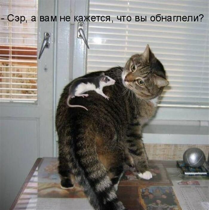 Чего только не увидишь в метро. Смотреть фото Чего только не увидишь в метро. Смотреть картинку Чего только не увидишь в метро. Картинка про Чего только не увидишь в метро. Фото Чего только не увидишь в метро