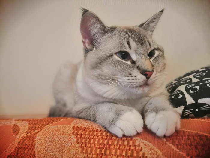 баба на чайнике выражение что значит. Смотреть фото баба на чайнике выражение что значит. Смотреть картинку баба на чайнике выражение что значит. Картинка про баба на чайнике выражение что значит. Фото баба на чайнике выражение что значит баба на чайнике выражение что значит. Смотреть фото баба на чайнике выражение что значит. Смотреть картинку баба на чайнике выражение что значит. Картинка про баба на чайнике выражение что значит. Фото баба на чайнике выражение что значит