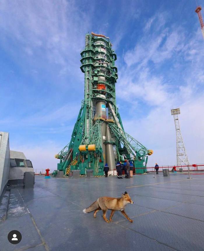 Сотрудник отдела технического контроля и экологической обстановки. В зимней рыжей форме