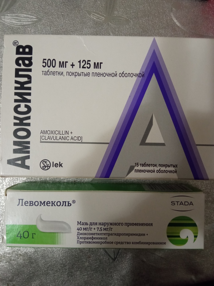 Если кот съел осу что будет. Смотреть фото Если кот съел осу что будет. Смотреть картинку Если кот съел осу что будет. Картинка про Если кот съел осу что будет. Фото Если кот съел осу что будет