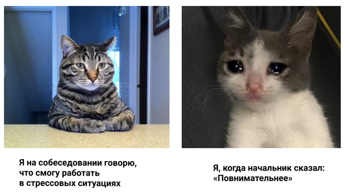 16375818291182500