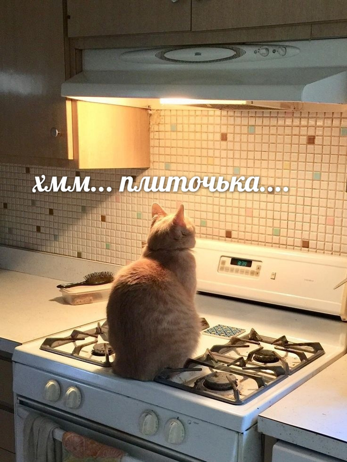 бан с мясом мем. Смотреть фото бан с мясом мем. Смотреть картинку бан с мясом мем. Картинка про бан с мясом мем. Фото бан с мясом мем