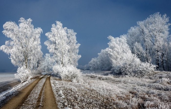что не любит дуб. Смотреть фото что не любит дуб. Смотреть картинку что не любит дуб. Картинка про что не любит дуб. Фото что не любит дуб