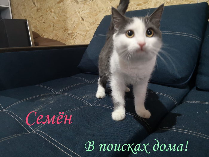 что такое жест доброй воли. Смотреть фото что такое жест доброй воли. Смотреть картинку что такое жест доброй воли. Картинка про что такое жест доброй воли. Фото что такое жест доброй воли