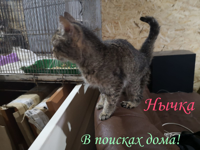 что такое жест доброй воли. Смотреть фото что такое жест доброй воли. Смотреть картинку что такое жест доброй воли. Картинка про что такое жест доброй воли. Фото что такое жест доброй воли
