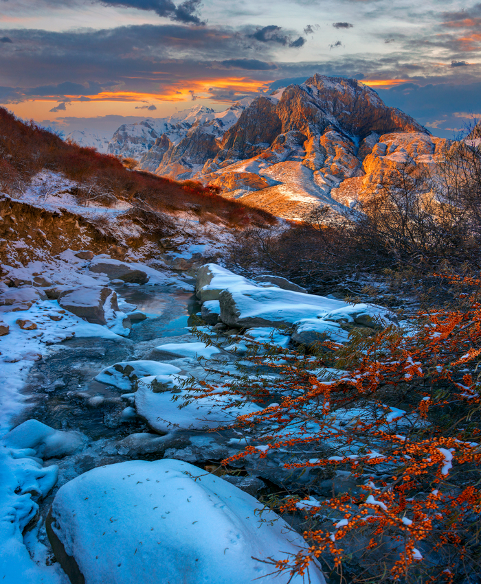 ����������� �����