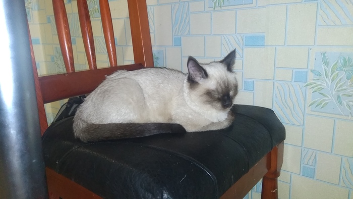 ��������� �� �����