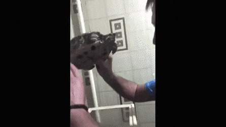   , , , 