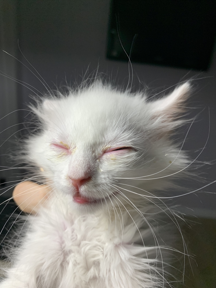 Как выглядит понедельник