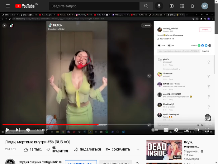 Подскажите, что это за ПО?