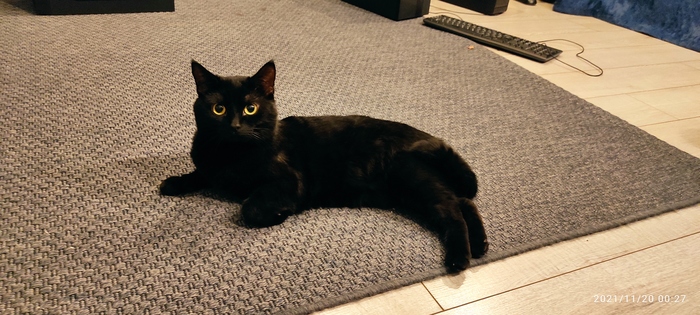 ��� - ���������?