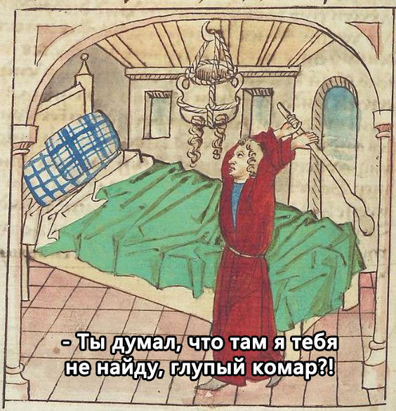 Два часа ночной охоты