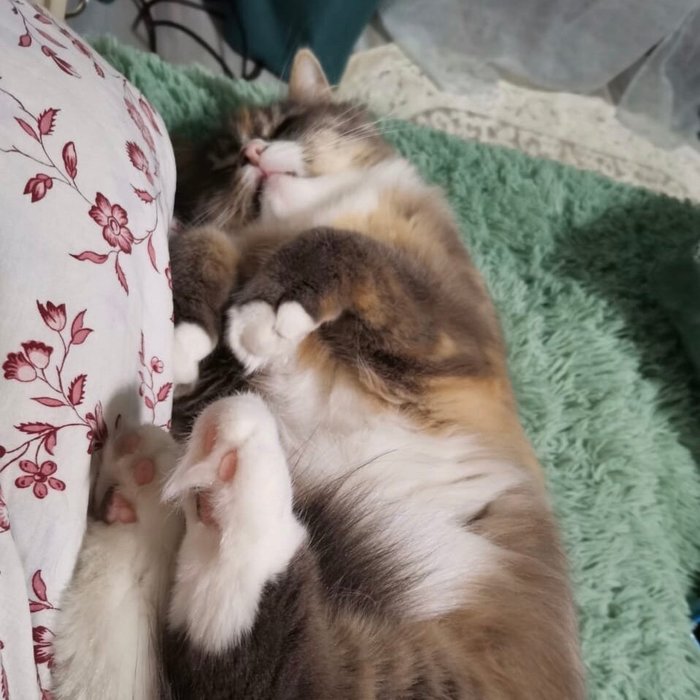 1637943183158575587 Можно я тебя потрогаю там