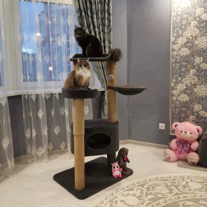 163794334811612087 Можно я тебя потрогаю там