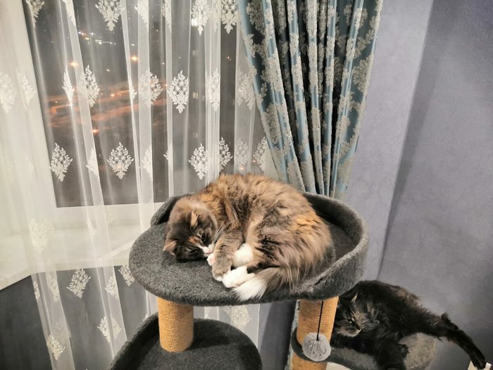 1637943565165224970 Можно я тебя потрогаю там