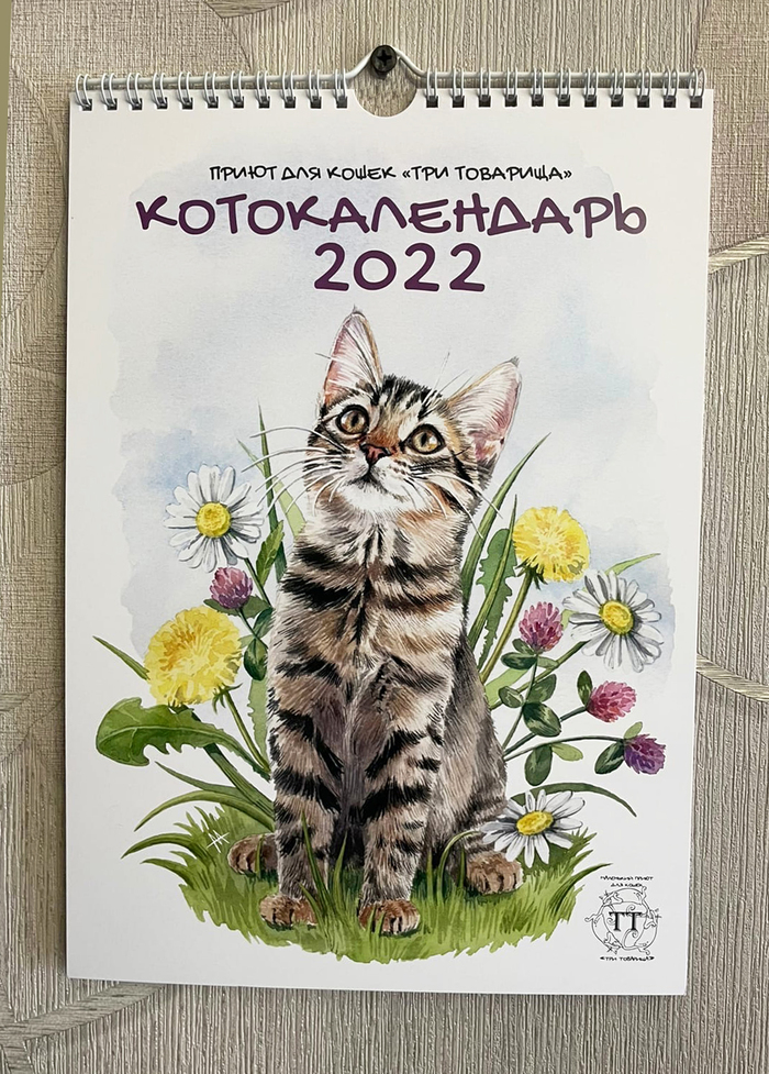 художник что рисует кошек. 163791082619981954. художник что рисует кошек фото. художник что рисует кошек-163791082619981954. картинка художник что рисует кошек. картинка 163791082619981954. Получайте на почту один раз в сутки одну самую читаемую статью. Присоединяйтесь к нам в Facebook и ВКонтакте.