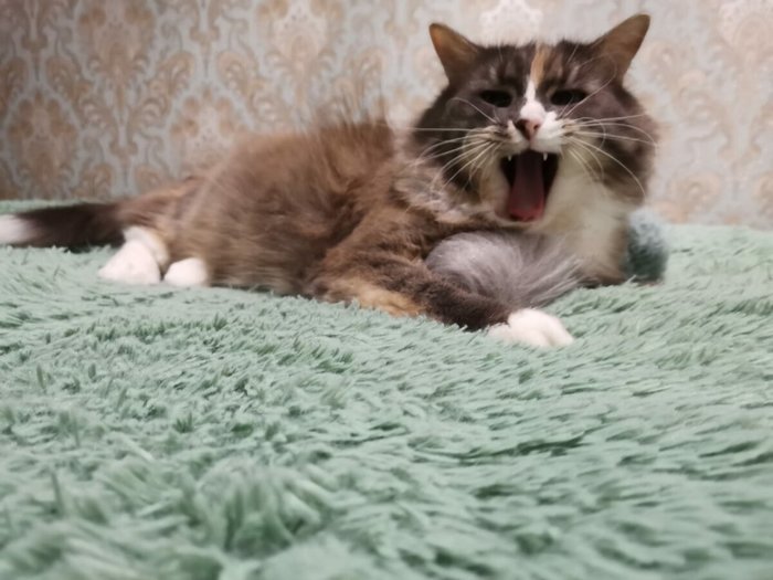 1637939098179245521 Можно я тебя потрогаю там