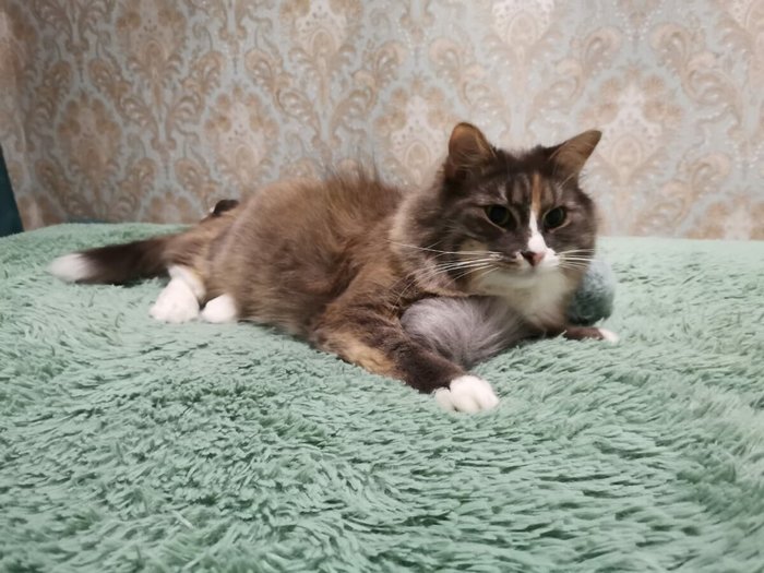 1637939762164527392 Можно я тебя потрогаю там