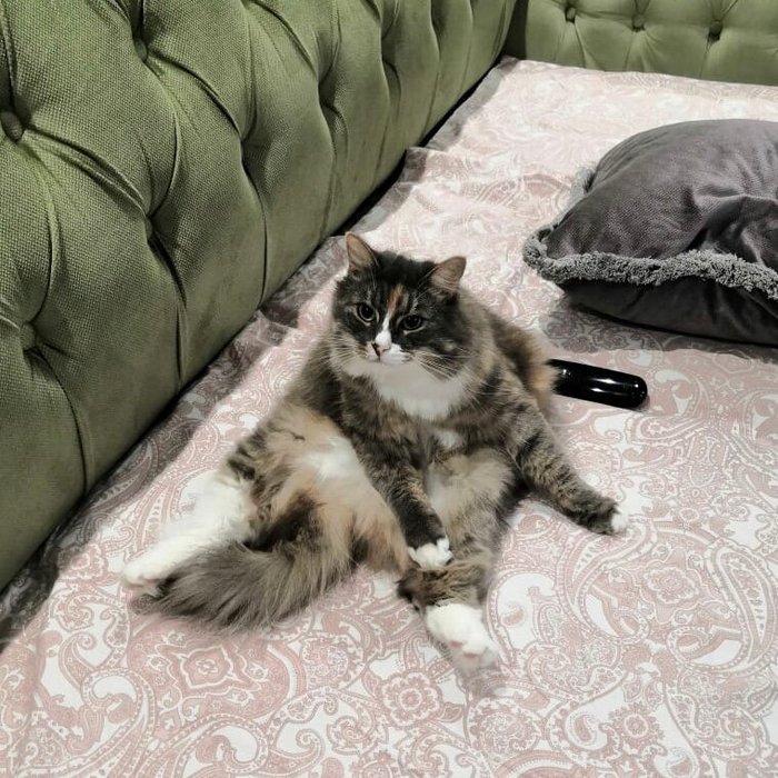 1637940129139838970 Можно я тебя потрогаю там