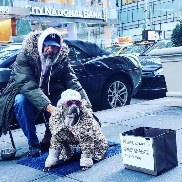 Встретил самого стильного бомжа в Нью Йорке)
