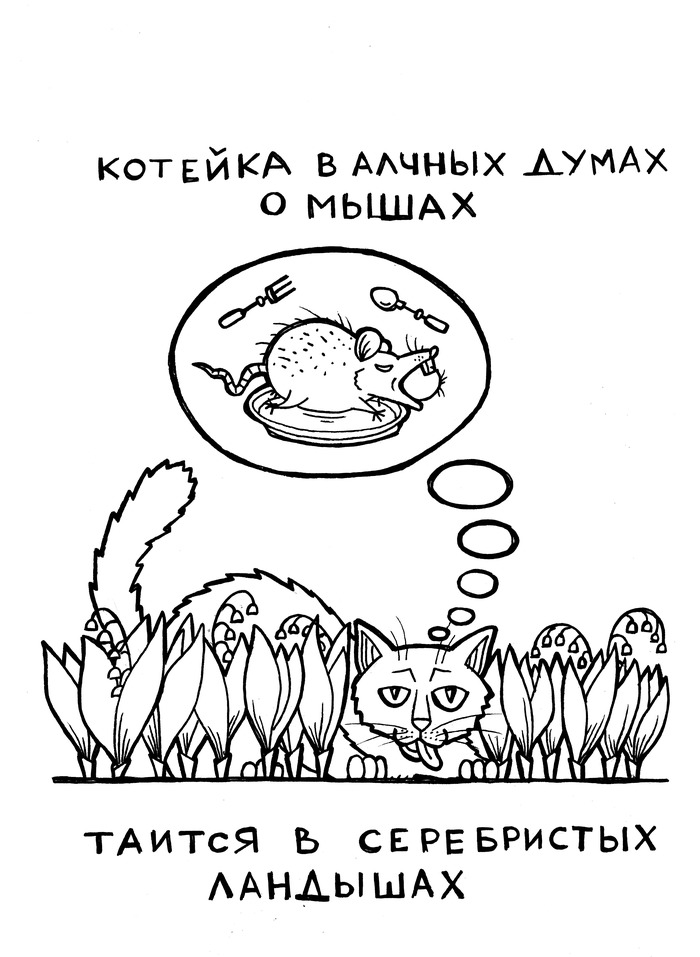 Так как называется это растение. Смотреть фото Так как называется это растение. Смотреть картинку Так как называется это растение. Картинка про Так как называется это растение. Фото Так как называется это растение