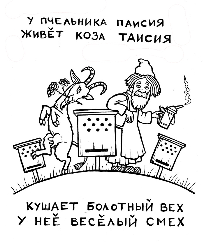 Так как называется это растение. Смотреть фото Так как называется это растение. Смотреть картинку Так как называется это растение. Картинка про Так как называется это растение. Фото Так как называется это растение