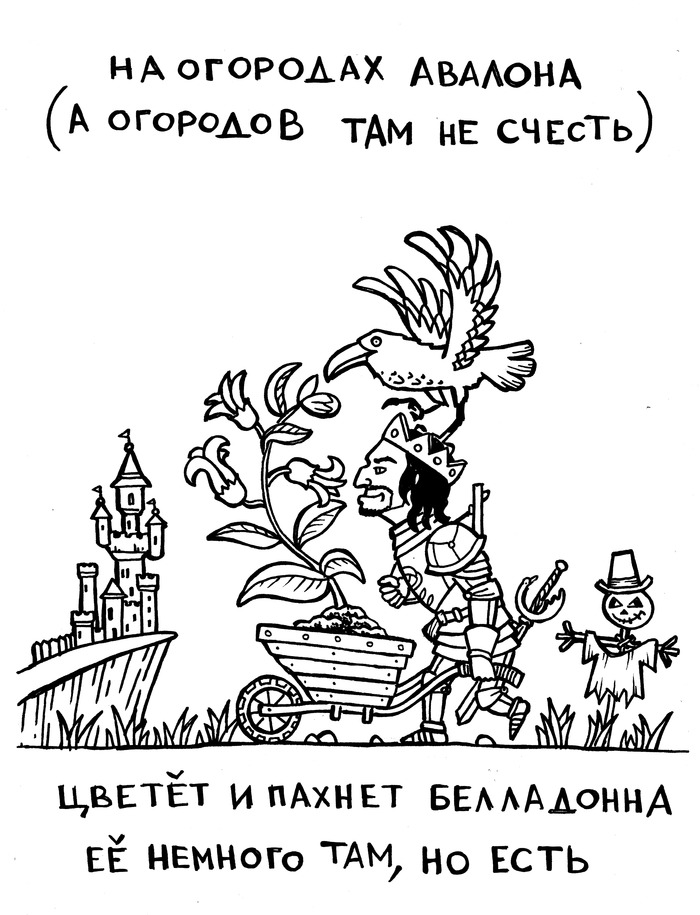 Так как называется это растение. Смотреть фото Так как называется это растение. Смотреть картинку Так как называется это растение. Картинка про Так как называется это растение. Фото Так как называется это растение