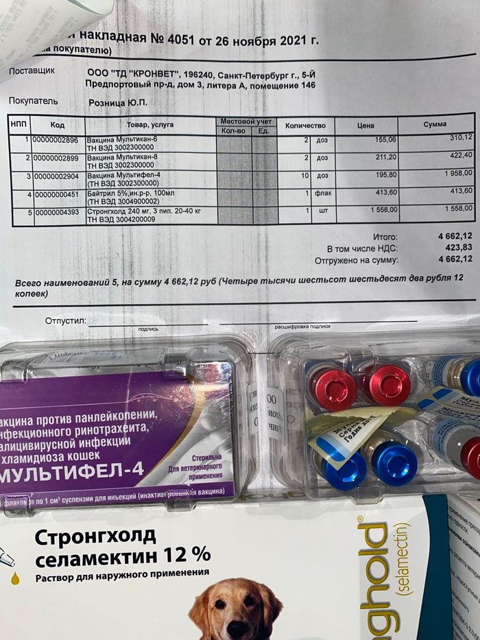 что делать если ласточка выпала с гнезда. Смотреть фото что делать если ласточка выпала с гнезда. Смотреть картинку что делать если ласточка выпала с гнезда. Картинка про что делать если ласточка выпала с гнезда. Фото что делать если ласточка выпала с гнезда