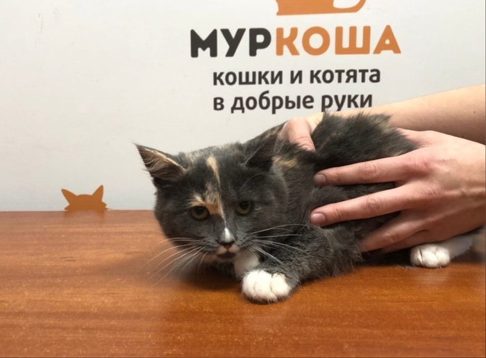 163813010414789016 Можно я тебя потрогаю там