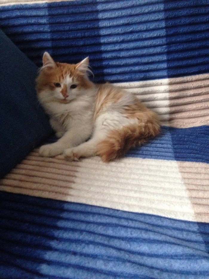 1638101200198966819 Можно я тебя потрогаю там