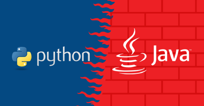 -  Java  Python &    Raptoreum Java, Python, , , , Ethereum, , , , Raptoreum