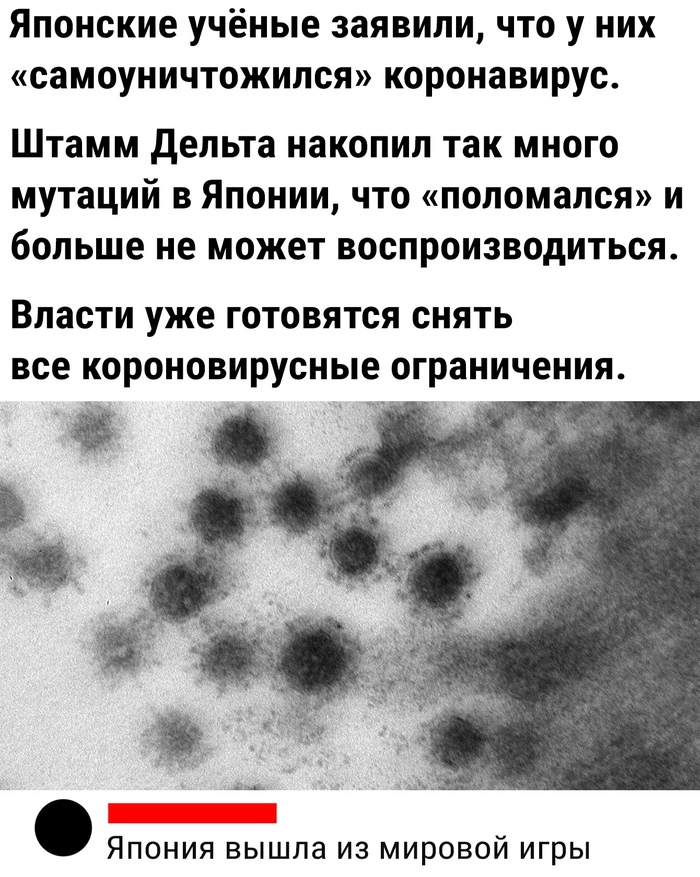 все что покидает стены этого дома самоуничтожается. Смотреть фото все что покидает стены этого дома самоуничтожается. Смотреть картинку все что покидает стены этого дома самоуничтожается. Картинка про все что покидает стены этого дома самоуничтожается. Фото все что покидает стены этого дома самоуничтожается
