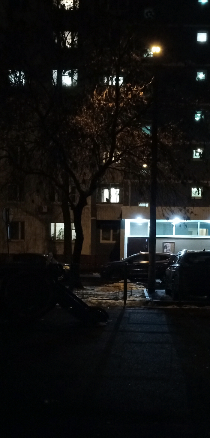 Ночь, улица, фонарь и кот