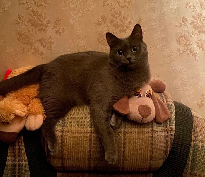 1638376903188662208 Можно я тебя потрогаю там